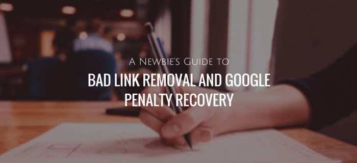 A Newbie’s Guide to Bad Link Removal - Google Penalty Recovery